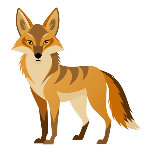 Jungle Safari Clever Jackal Transparent Sticker